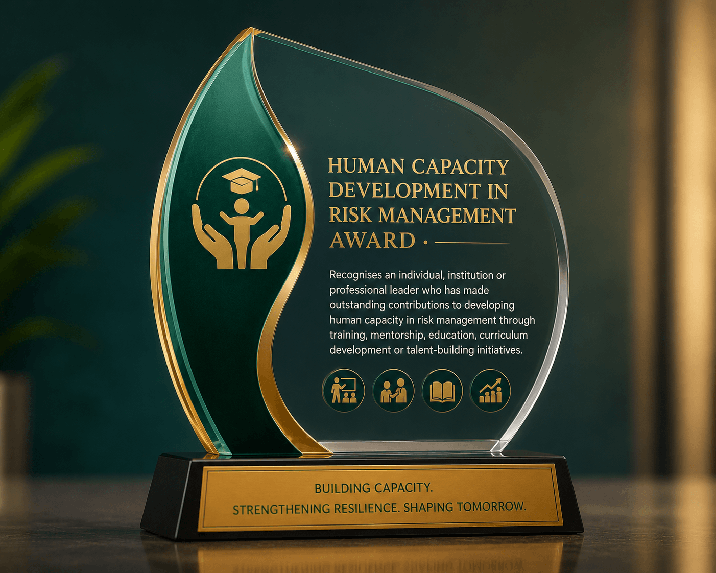 Human Capacity Development in Risk Management Award